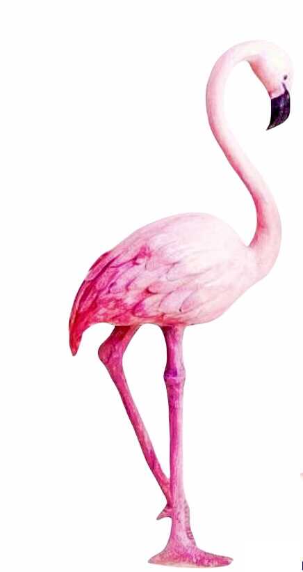 Figurita de flamingo