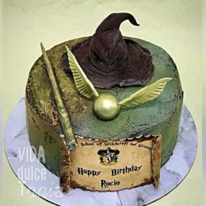 Tarta Harry Potter Palito magico Madrid
