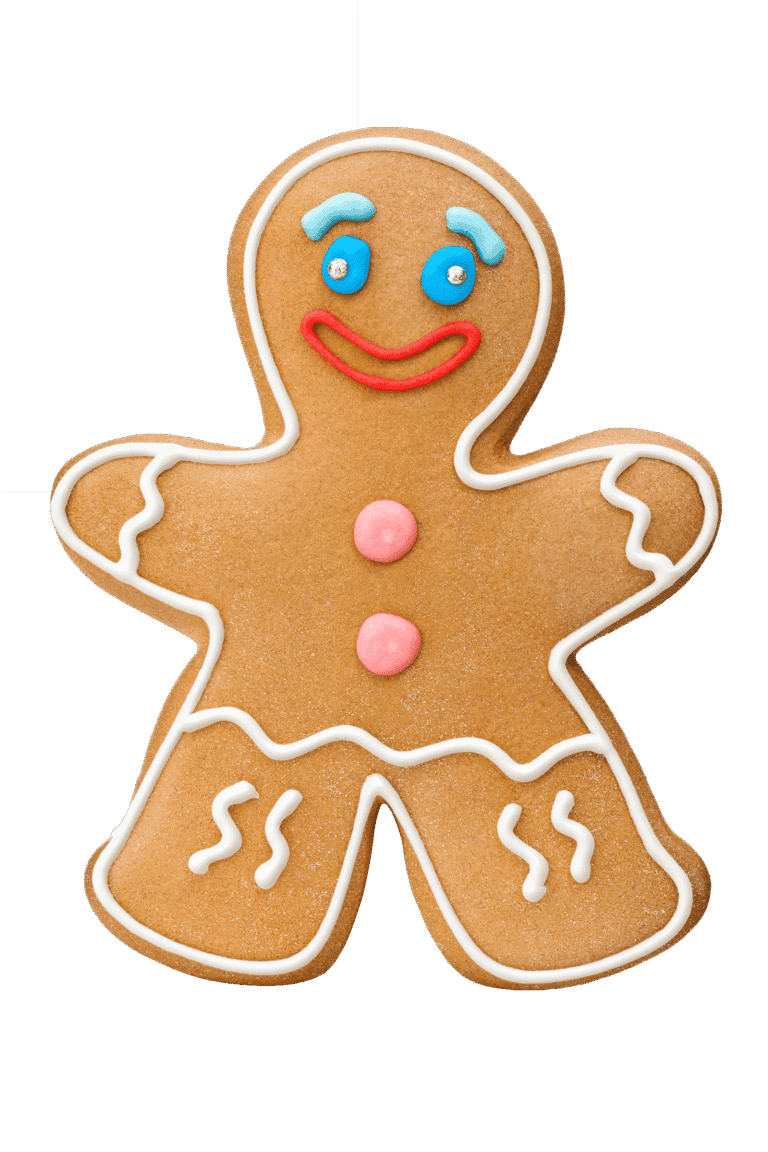Galleta Galleta